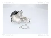 AGR-Ventil TRISCAN 8813 29116