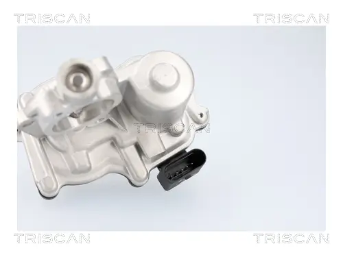 AGR-Ventil TRISCAN 8813 29116 Bild AGR-Ventil TRISCAN 8813 29116