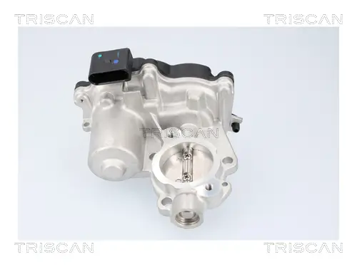 AGR-Ventil TRISCAN 8813 29116 Bild AGR-Ventil TRISCAN 8813 29116