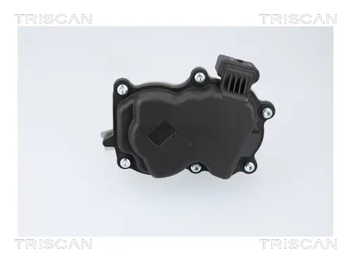 AGR-Ventil TRISCAN 8813 29116 Bild AGR-Ventil TRISCAN 8813 29116