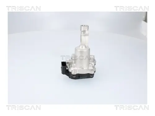 AGR-Ventil TRISCAN 8813 29116 Bild AGR-Ventil TRISCAN 8813 29116