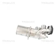 AGR-Ventil TRISCAN 8813 29117