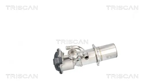 AGR-Ventil TRISCAN 8813 29117 Bild AGR-Ventil TRISCAN 8813 29117