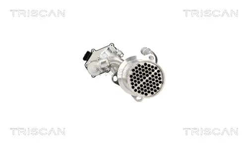 AGR-Ventil TRISCAN 8813 29117 Bild AGR-Ventil TRISCAN 8813 29117