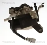 AGR-Ventil TRISCAN 8813 29118