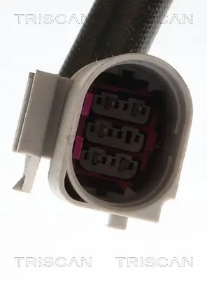 AGR-Ventil TRISCAN 8813 29118 Bild AGR-Ventil TRISCAN 8813 29118