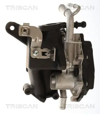 AGR-Ventil TRISCAN 8813 29118 Bild AGR-Ventil TRISCAN 8813 29118