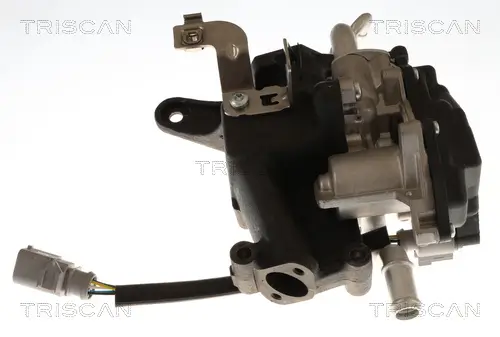 AGR-Ventil TRISCAN 8813 29118 Bild AGR-Ventil TRISCAN 8813 29118