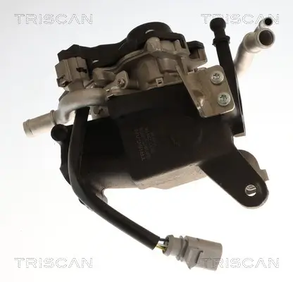 AGR-Ventil TRISCAN 8813 29118 Bild AGR-Ventil TRISCAN 8813 29118