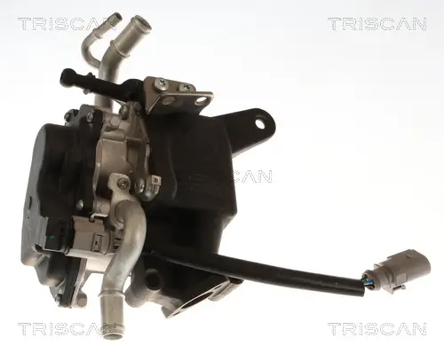 AGR-Ventil TRISCAN 8813 29118 Bild AGR-Ventil TRISCAN 8813 29118