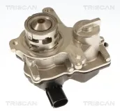 AGR-Ventil TRISCAN 8813 29119