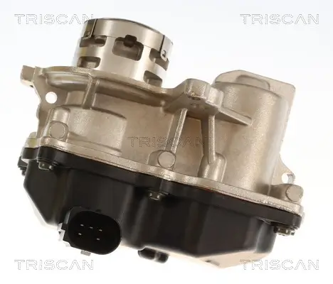 AGR-Ventil TRISCAN 8813 29119 Bild AGR-Ventil TRISCAN 8813 29119