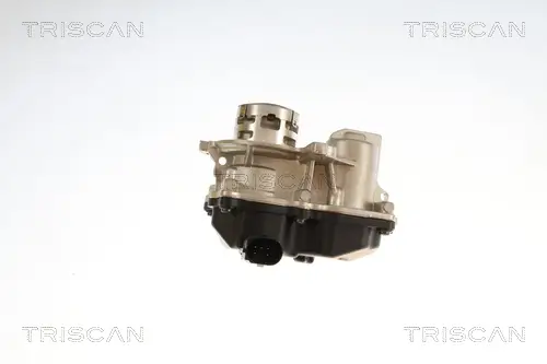 AGR-Ventil TRISCAN 8813 29119 Bild AGR-Ventil TRISCAN 8813 29119