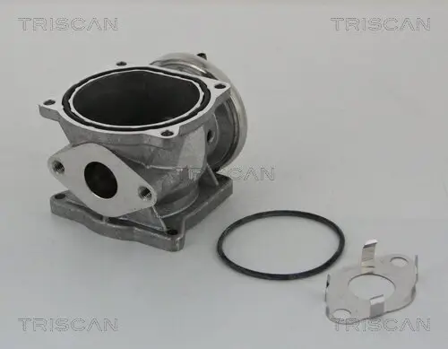 AGR-Ventil TRISCAN 8813 29301 Bild AGR-Ventil TRISCAN 8813 29301