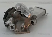 AGR-Ventil TRISCAN 8813 29304