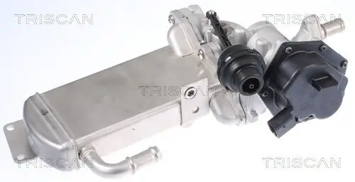 AGR-Ventil TRISCAN 8813 29306 Bild AGR-Ventil TRISCAN 8813 29306