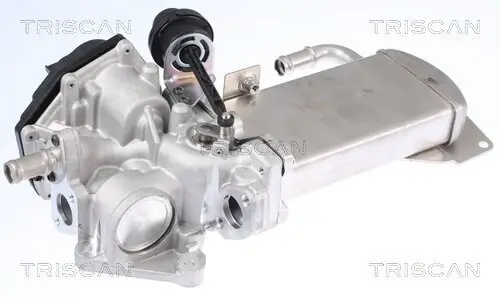 AGR-Ventil TRISCAN 8813 29306 Bild AGR-Ventil TRISCAN 8813 29306