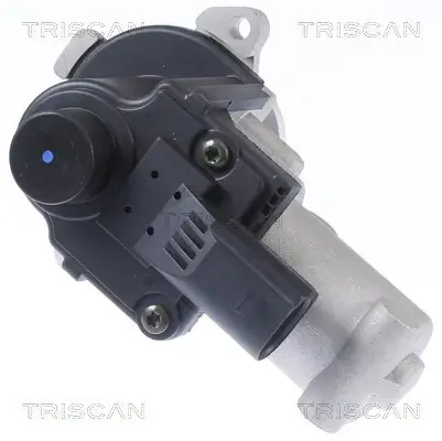 AGR-Ventil TRISCAN 8813 29310 Bild AGR-Ventil TRISCAN 8813 29310