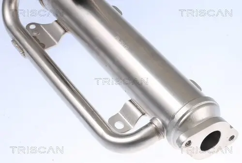 Kühler, Abgasrückführung TRISCAN 8813 29320 Bild Kühler, Abgasrückführung TRISCAN 8813 29320