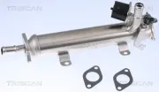 Kühler, Abgasrückführung TRISCAN 8813 29322