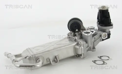 AGR-Ventil TRISCAN 8813 29325 Bild AGR-Ventil TRISCAN 8813 29325