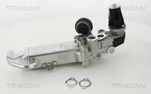 AGR-Ventil TRISCAN 8813 29330 Bild AGR-Ventil TRISCAN 8813 29330