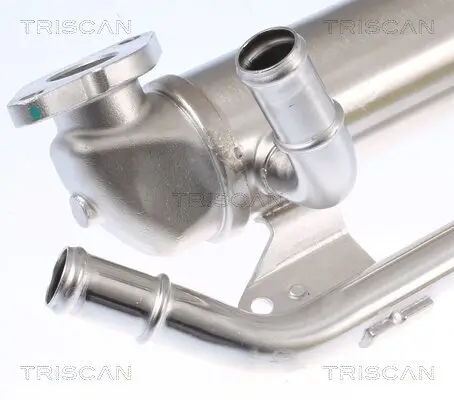 Kühler, Abgasrückführung TRISCAN 8813 29335 Bild Kühler, Abgasrückführung TRISCAN 8813 29335