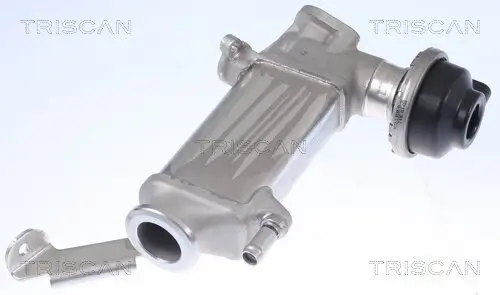 Kühler, Abgasrückführung TRISCAN 8813 29346