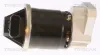 AGR-Ventil TRISCAN 8813 40003 Bild AGR-Ventil TRISCAN 8813 40003