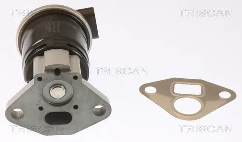 AGR-Ventil TRISCAN 8813 40003 Bild AGR-Ventil TRISCAN 8813 40003