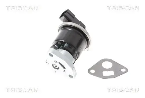 AGR-Ventil TRISCAN 8813 40013 Bild AGR-Ventil TRISCAN 8813 40013