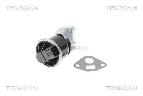 AGR-Ventil TRISCAN 8813 40013 Bild AGR-Ventil TRISCAN 8813 40013