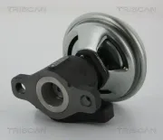 AGR-Ventil TRISCAN 8813 43005