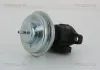 AGR-Ventil TRISCAN 8813 43005 Bild AGR-Ventil TRISCAN 8813 43005
