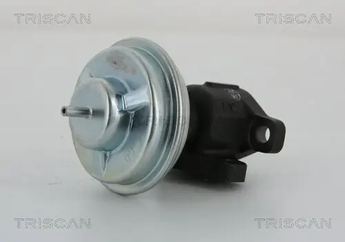 AGR-Ventil TRISCAN 8813 43005 Bild AGR-Ventil TRISCAN 8813 43005