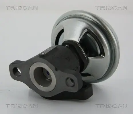 AGR-Ventil TRISCAN 8813 43005 Bild AGR-Ventil TRISCAN 8813 43005