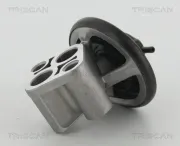 AGR-Ventil TRISCAN 8813 43007