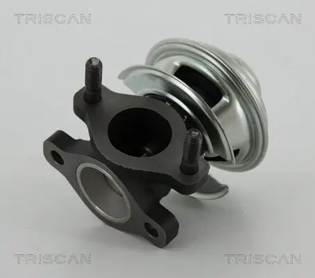 AGR-Ventil TRISCAN 8813 43008 Bild AGR-Ventil TRISCAN 8813 43008