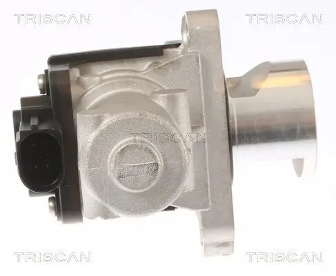 AGR-Ventil TRISCAN 8813 43010 Bild AGR-Ventil TRISCAN 8813 43010