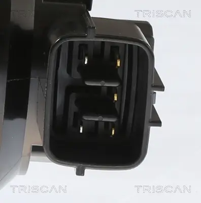 AGR-Ventil TRISCAN 8813 43055 Bild AGR-Ventil TRISCAN 8813 43055