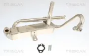 Kühler, Abgasrückführung TRISCAN 8813 43056