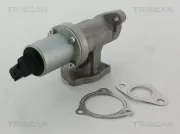 AGR-Ventil TRISCAN 8813 43100
