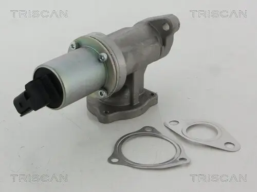 AGR-Ventil TRISCAN 8813 43100 Bild AGR-Ventil TRISCAN 8813 43100