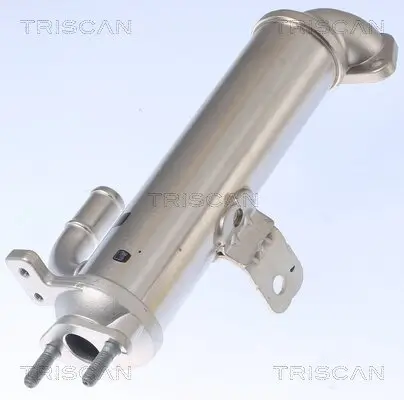 Kühler, Abgasrückführung TRISCAN 8813 43102