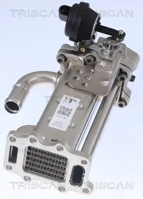 Kühler, Abgasrückführung TRISCAN 8813 43104