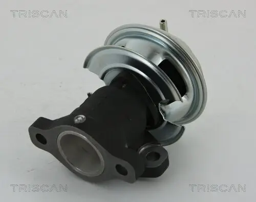 AGR-Ventil TRISCAN 8813 43201