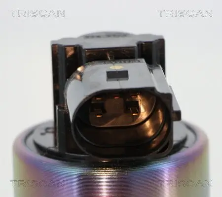 AGR-Ventil TRISCAN 8813 44009 Bild AGR-Ventil TRISCAN 8813 44009