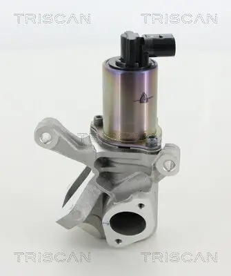 AGR-Ventil TRISCAN 8813 44009 Bild AGR-Ventil TRISCAN 8813 44009