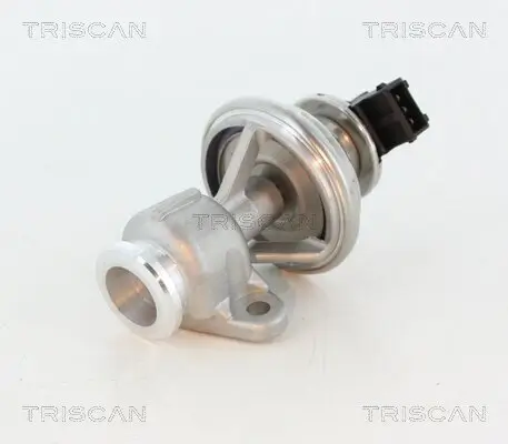 AGR-Ventil TRISCAN 8813 44010 Bild AGR-Ventil TRISCAN 8813 44010
