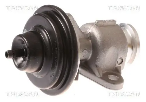 AGR-Ventil TRISCAN 8813 44015